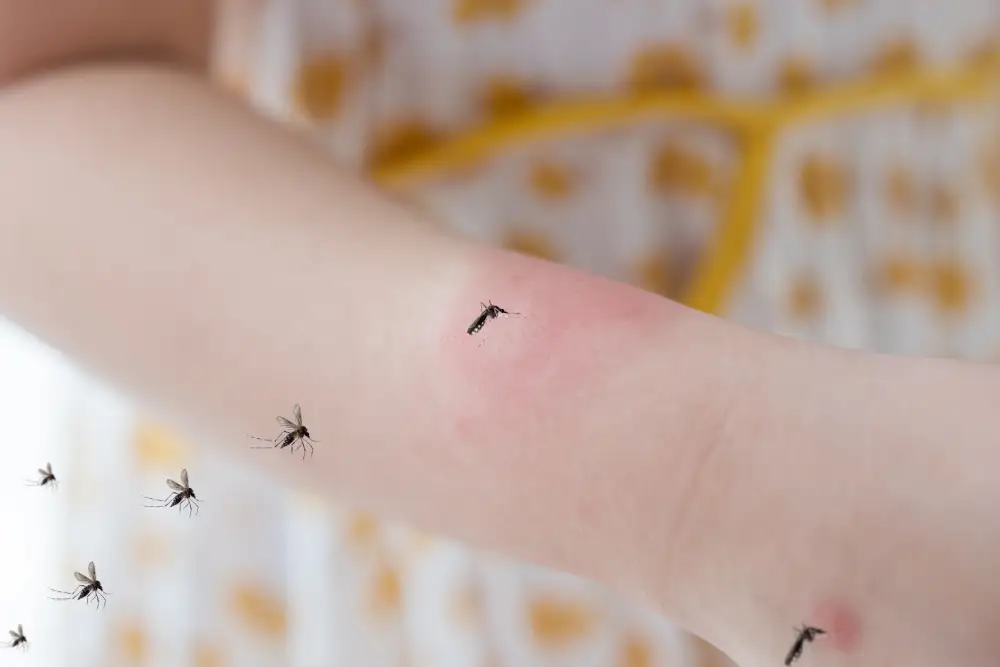 Controle de Mosquitos