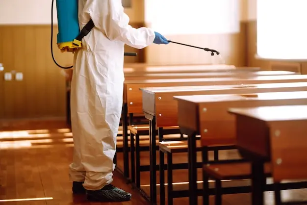 Controle de Cupins em Escolas: proteção para alunos e patrimônio público