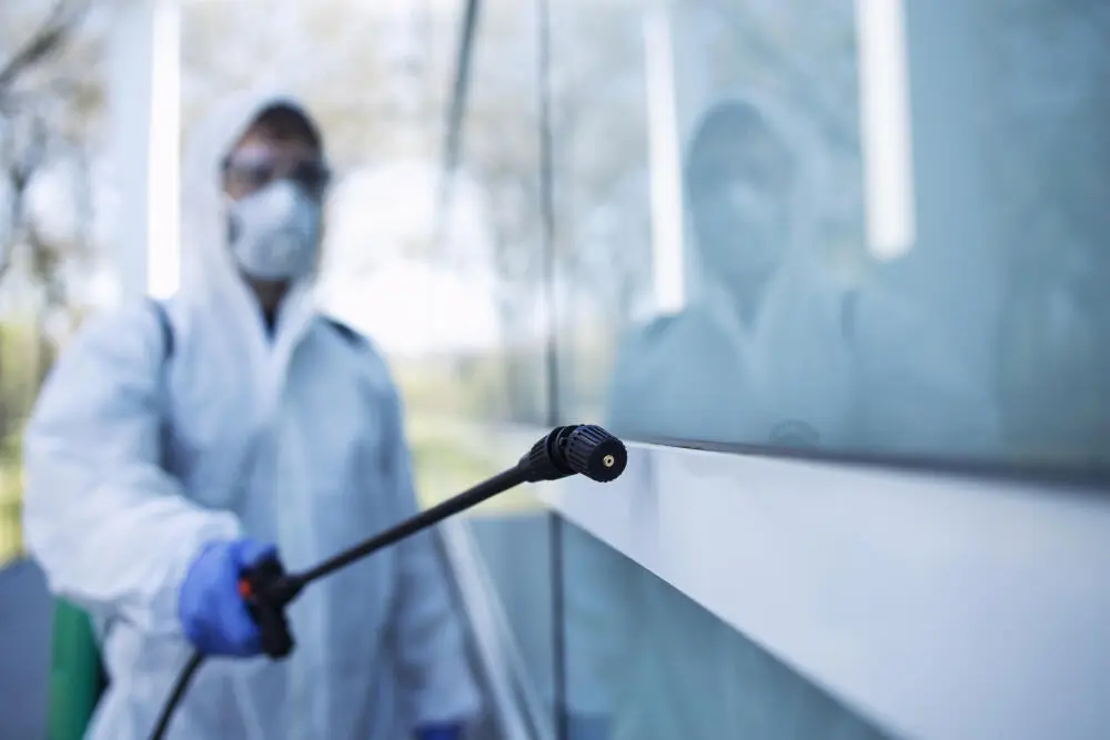 Controle de pragas em empresas: como evitar autuações sanitárias e riscos legais