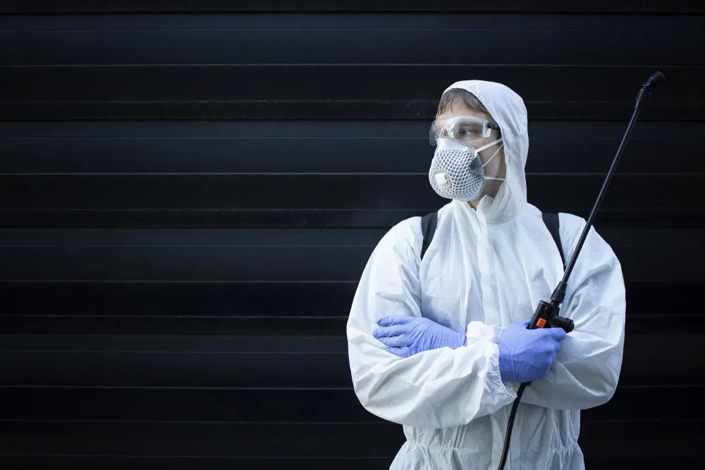 Dedetizadora RJ: quando a infestação deixa de ser um problema estético e vira risco sanitário